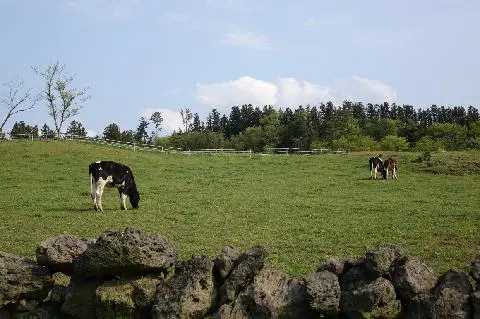 아침미소목장 대표이미지