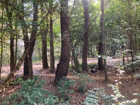 비짓제주와 함께하는 같이가치 추천코스 <빈칸채우기 이벤트>