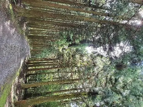 비짓제주와 함께하는 같이가치 추천코스 <빈칸채우기 이벤트>