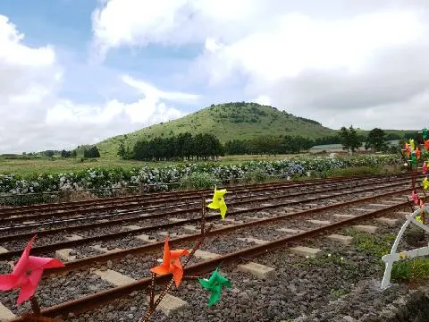 제주레일바이크 대표이미지