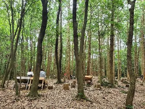 [같이가치 제주여행] 1. 다채로운 바람을 만나는 여행