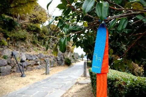 제주올레 7코스 대표이미지