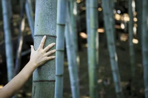 Halla Arboretum 대표이미지