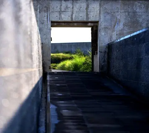 Yumin Art Nouveau Collection 대표이미지