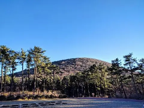 Bulgeun Oreum Natural Recreation Forest  대표이미지
