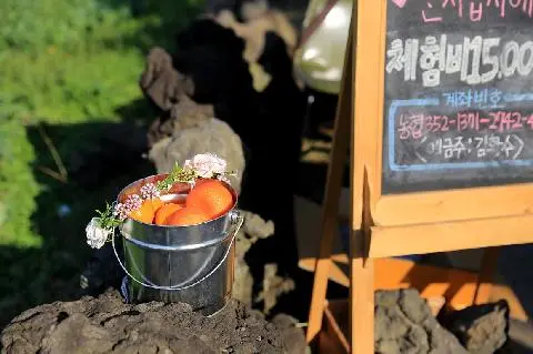 귤밭76번지 사진