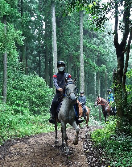 Horseback Riding in Uigwi Village 대표이미지