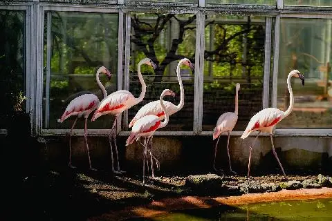 Jeju Road Trips: Six Fun Spots on the Pyeonghwa-ro  대표이미지