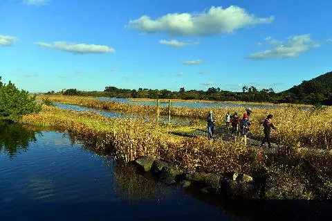 [같이가치 제주여행] 4. 기억하고 싶은 제주 원도심의 삶과 자연