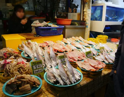 비짓제주와 함께하는 같이가치 추천코스 <빈칸채우기 이벤트>