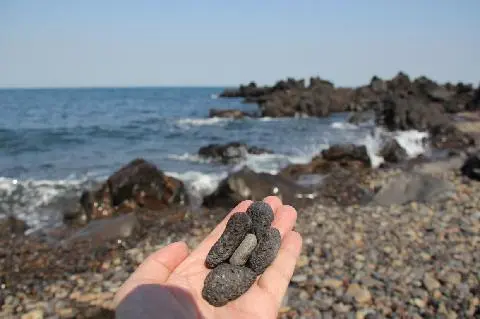 アルジャクチ海岸 대표이미지