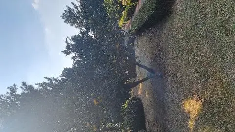 비짓제주와 함께하는 같이가치 추천코스 <빈칸채우기 이벤트>