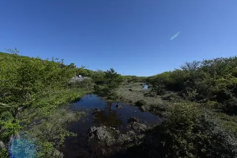 1100고지습지 대표이미지