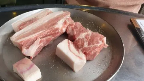 바다를본돼지 사진