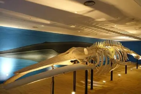 Folklore & Natural History Museum 대표이미지