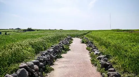 Jeju Olle Course 10 대표이미지