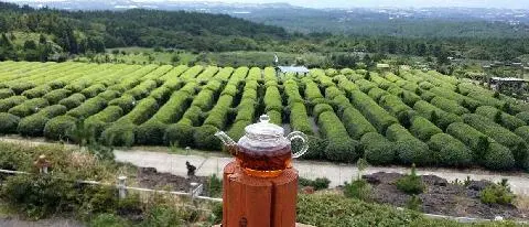 쉼한모금 사진