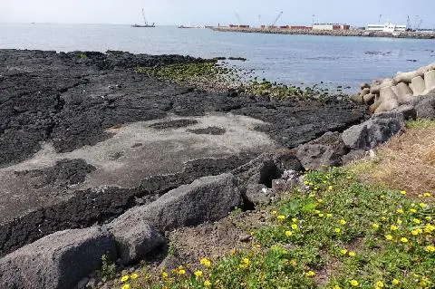 Jeju Olle Course 15 대표이미지