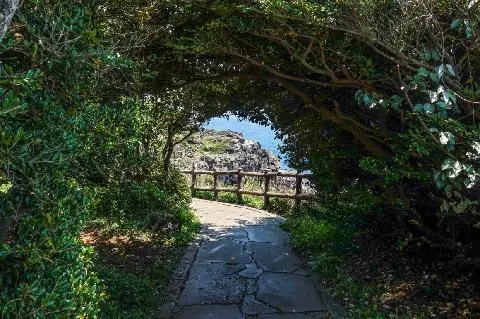 Jeju Olle Course 5 대표이미지