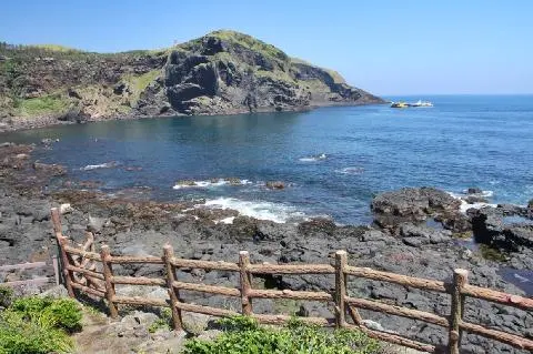 Tolkani 대표이미지