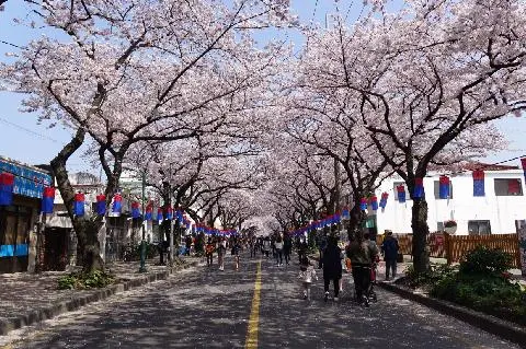 전농로 서사라문화거리 대표이미지