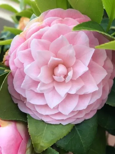 비짓제주와 함께하는 같이가치 추천코스 <빈칸채우기 이벤트>