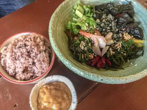 다육이풍경 사진