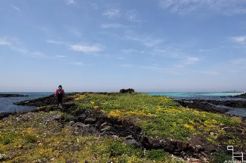 濟州第20號偶來小路 대표이미지