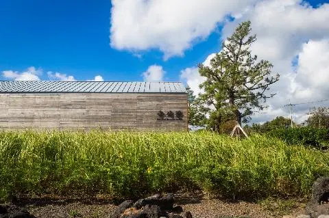 Jeju Chusa Hall 대표이미지