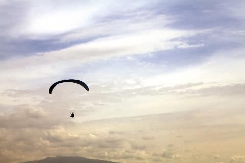 Paragliding Jeju, Fly in the Sky 대표이미지