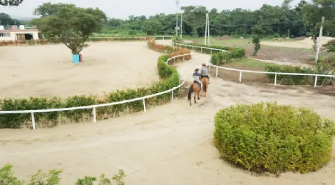 Geomun Oreum Horse Ranch 대표이미지