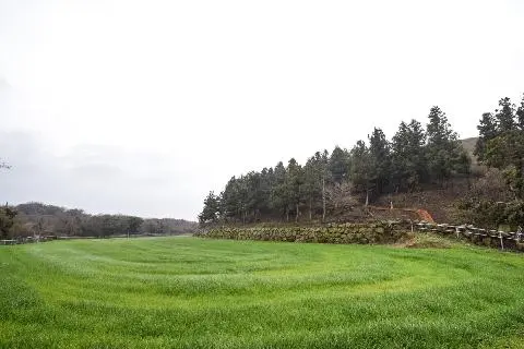 Jeju Olle Course 14-1 대표이미지