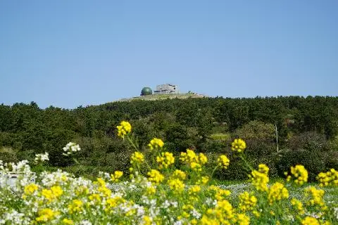 모슬봉 (모슬개오름) 사진