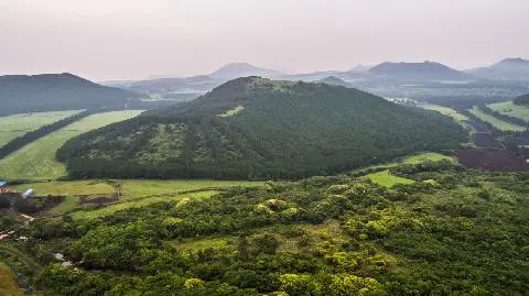 ピチミオルム 대표이미지