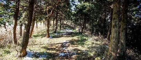 삼의악트레킹코스 대표이미지