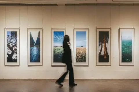 Seni dan Seniman Jeju 대표이미지