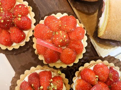 볕이드는곳벧디 대표이미지