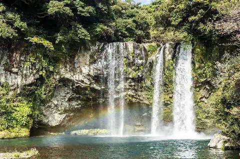 Jeju Weather & Seasonal Activities