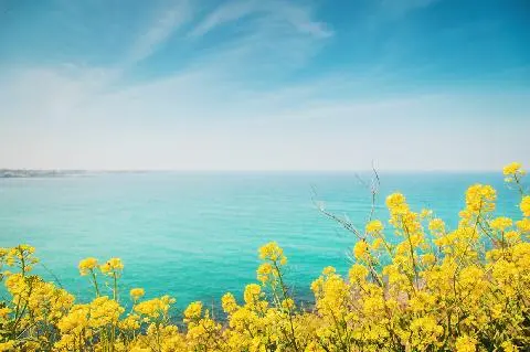 Jeju Weather & Seasonal Activities