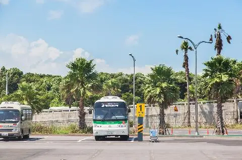 MENYEWA KERETA DI JEJU 대표이미지