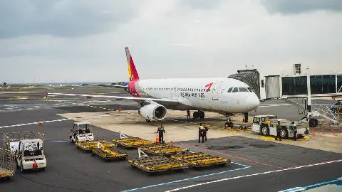 Useful Jeju Travel Information