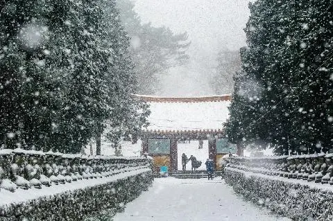 濟州島氣候和季節性活動 대표이미지