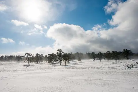 한라산이 빚은 절경 <5.16도로 여행지> 대표이미지