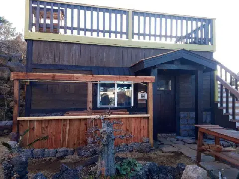 나미송 머무는 곳