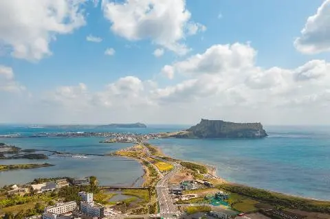 제주 봄꽃 명소 <3월 광도르방 투어> 대표이미지