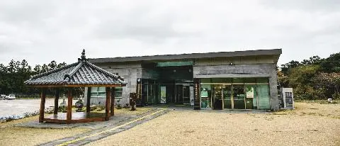 삶이된 숲, 숲이된 삶 <곶자왈여행>