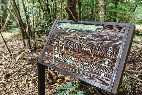 삶이된 숲, 숲이된 삶 <곶자왈여행>