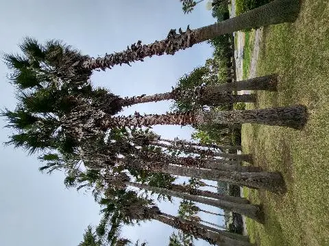 주차비  입장료별도로받기에는  너무 짧은코스
절경이기는 하나  설상가상 갑자기 비까지내려 우산까지 14천원들여보기엔 넘 아까움