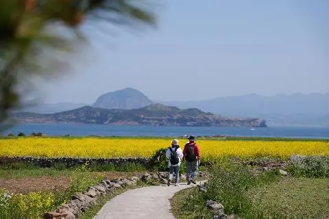 青麦季的加波岛偶来小路10-1路线 대표이미지