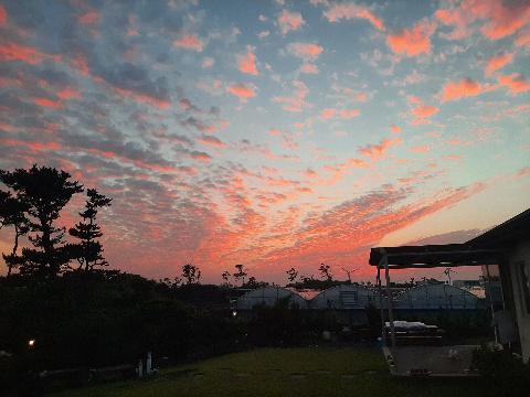 소풍(월정리) 리뷰사진3